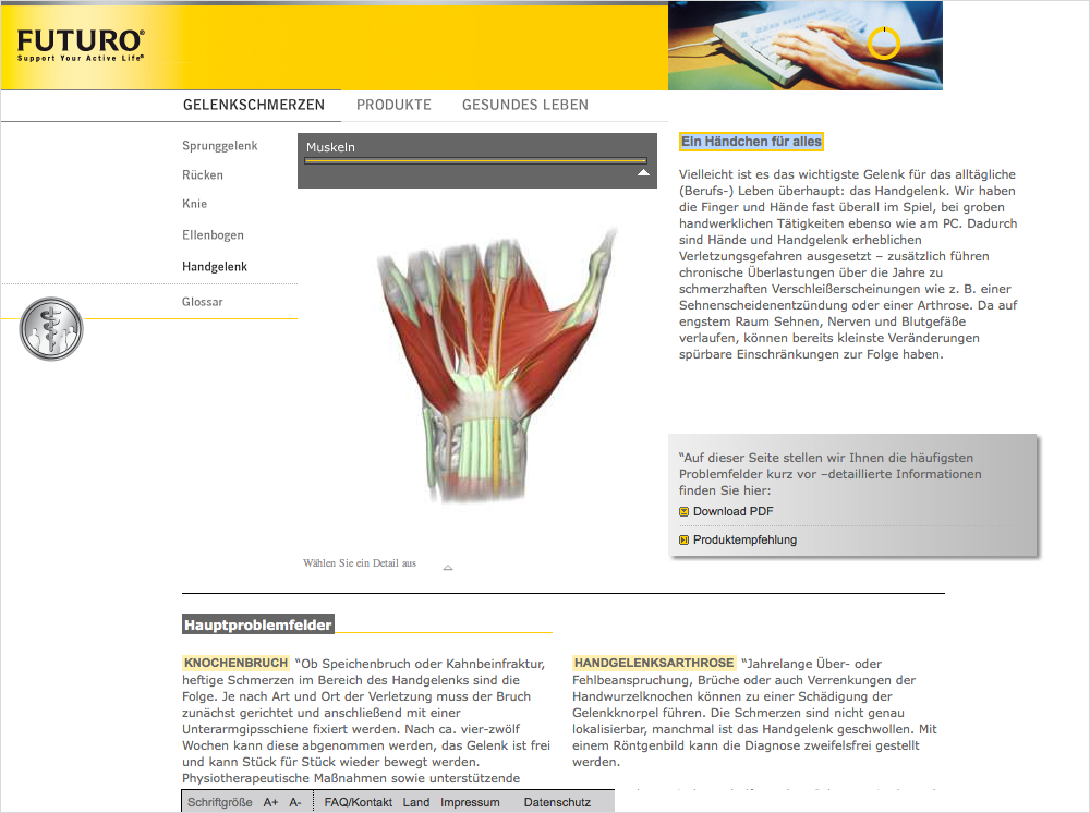 12990125-03_muskeln